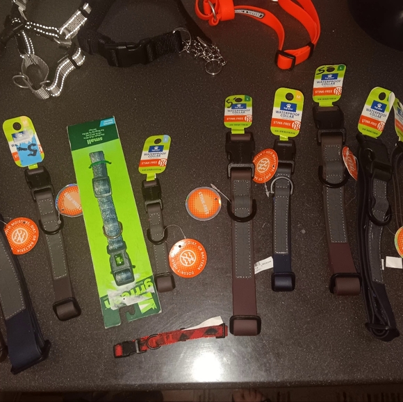 Leashes - Picture 3 of 15